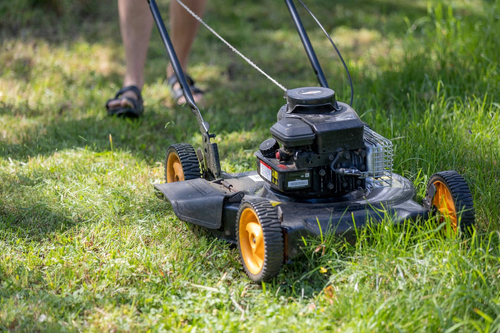 Lawn mowing in a neat Melbourne suburban yard under clear skies